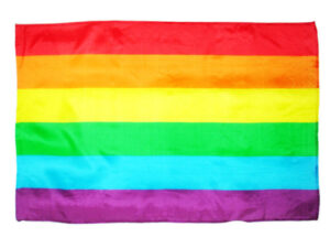 PRIDE - BANDERA MEDIANA LGBT