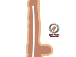 GET REAL - DUAL DENSITY DILDO 25,5 CM CON TESTICULOS NATURAL - Imagen 2