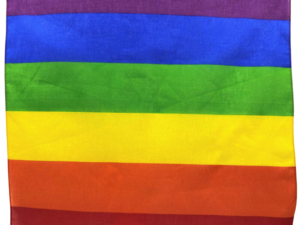 PRIDE - PAÑUELO LGBT 50 X 50