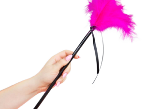 SECRETPLAY - PLUMERO PLUMAS ROSA 40 CM - Imagen 3