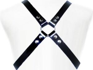 LEATHER BODY - BASIC HARNESS